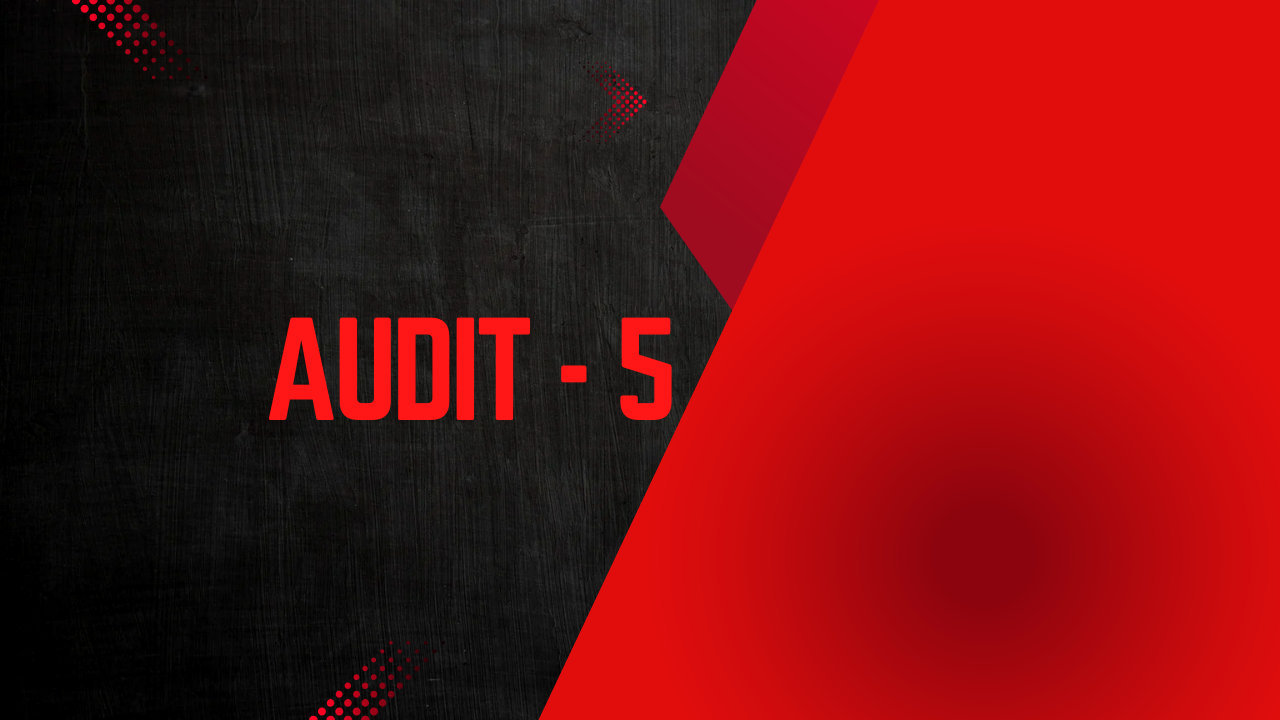 AUDIT - 5